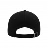 WAI-Brainade Cap