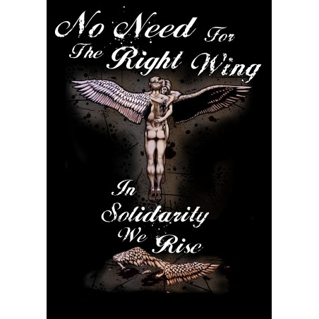 Poster - No Need For The Right Wing